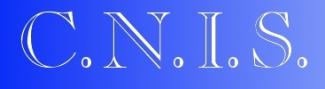 logo CNIS
